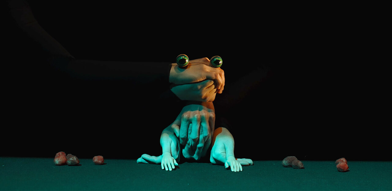 A stylized frog with human-like hands sits on a green surface surrounded by small rocks, against a black background. A gloved hand appears to hold the frog’s head.