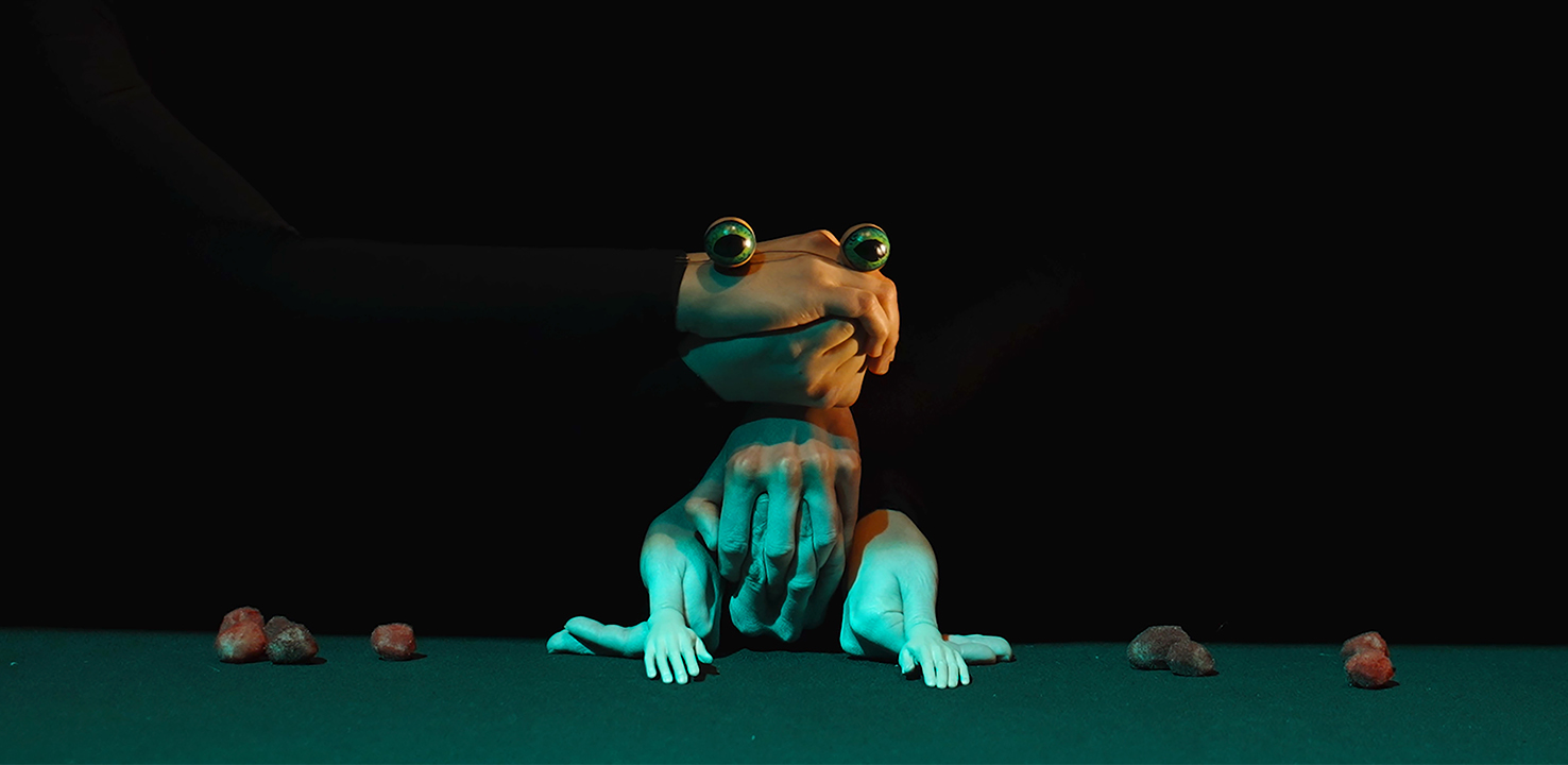 A stylized frog with human-like hands sits on a green surface surrounded by small rocks, against a black background. A gloved hand appears to hold the frog’s head.